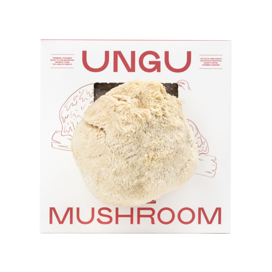 Lion’s Mane Mushroom Growkit - Size M