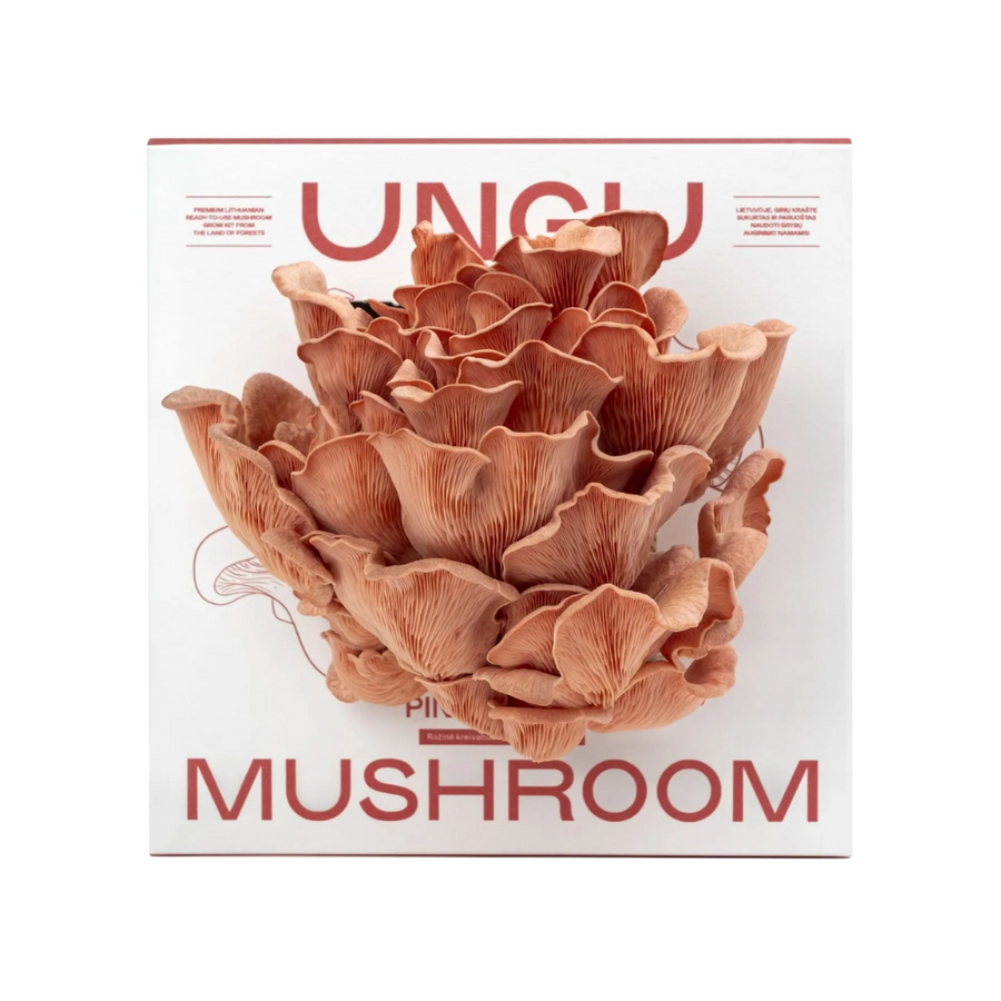 Pink Oyster Mushroom Growkit - Size M