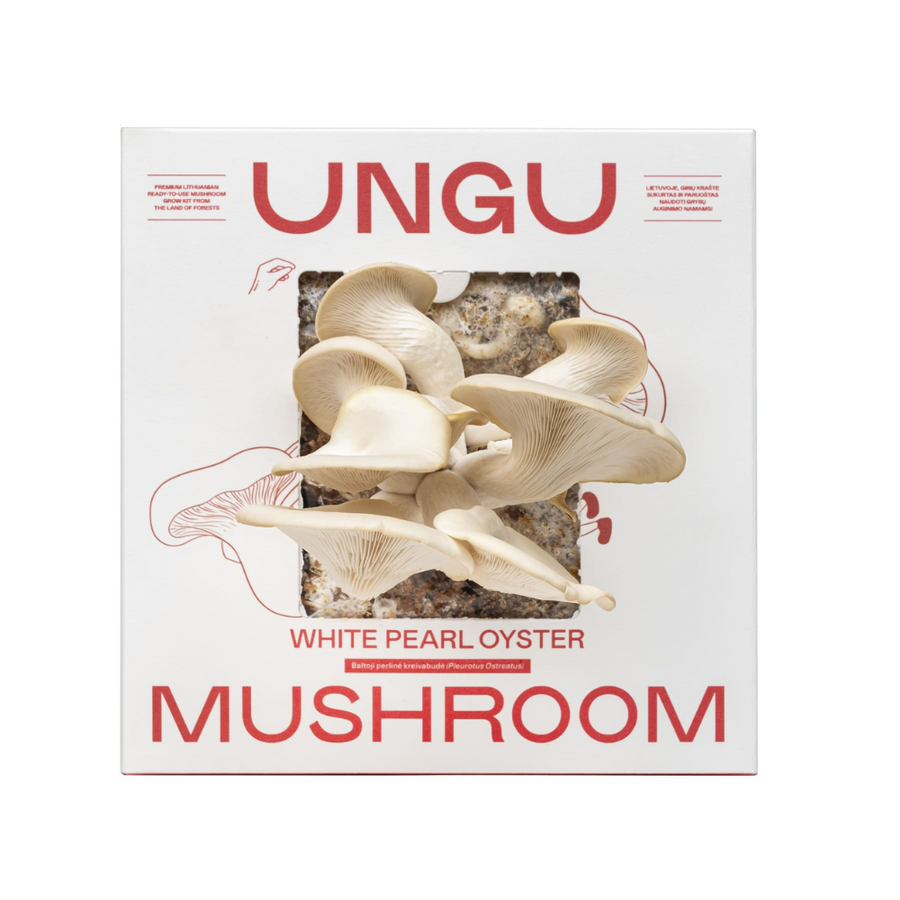 White Pearl Oyster Mushroom Growkit - Size M