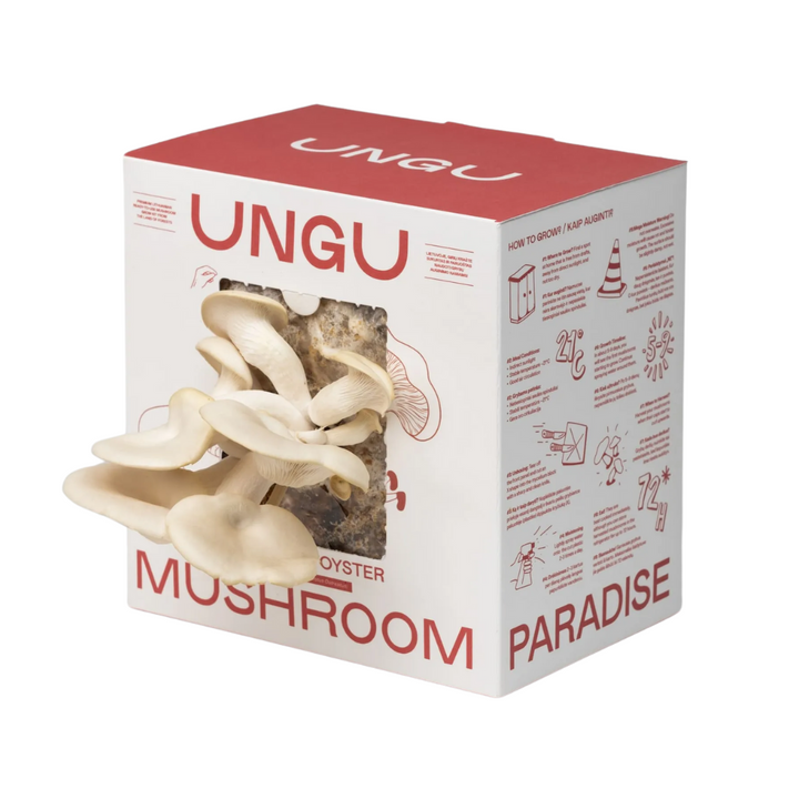 White Pearl Oyster Mushroom Growkit - Size M